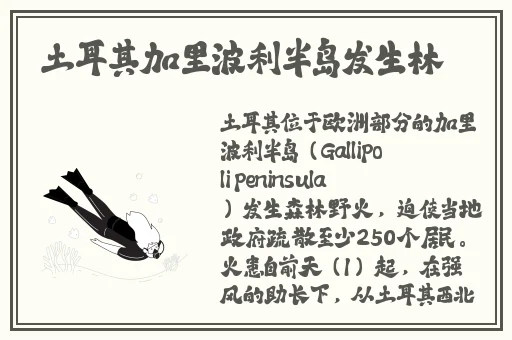 茄子丝瓜草莓芒果